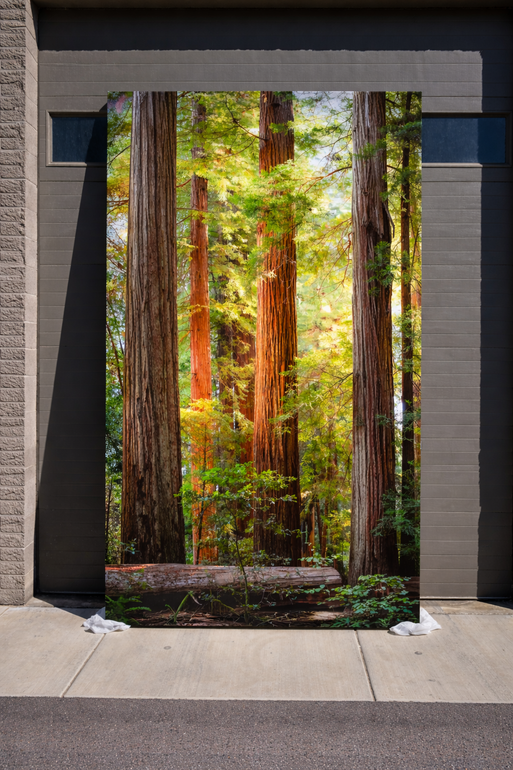 Large format canvas with Redwood Trees